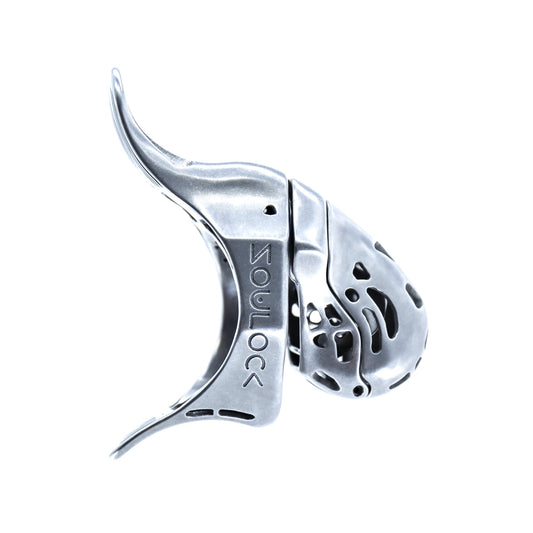 Escape - Proof Male Chastity Device - Bound Guard Series Metal Edition - SOULOCK