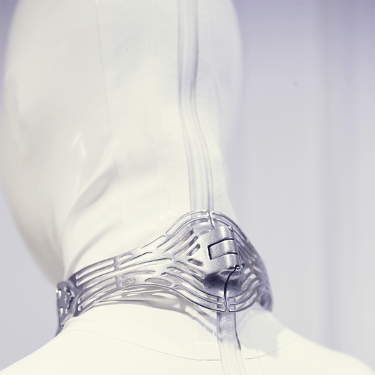 Metallic Forbidden - Love Series - SOULOCK