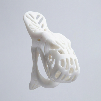 Escape-Proof Male Chastity Device(TrustLock Sentinel)